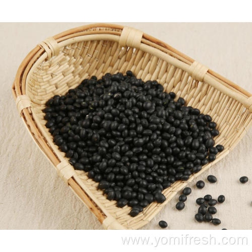 Black Beans 25KG